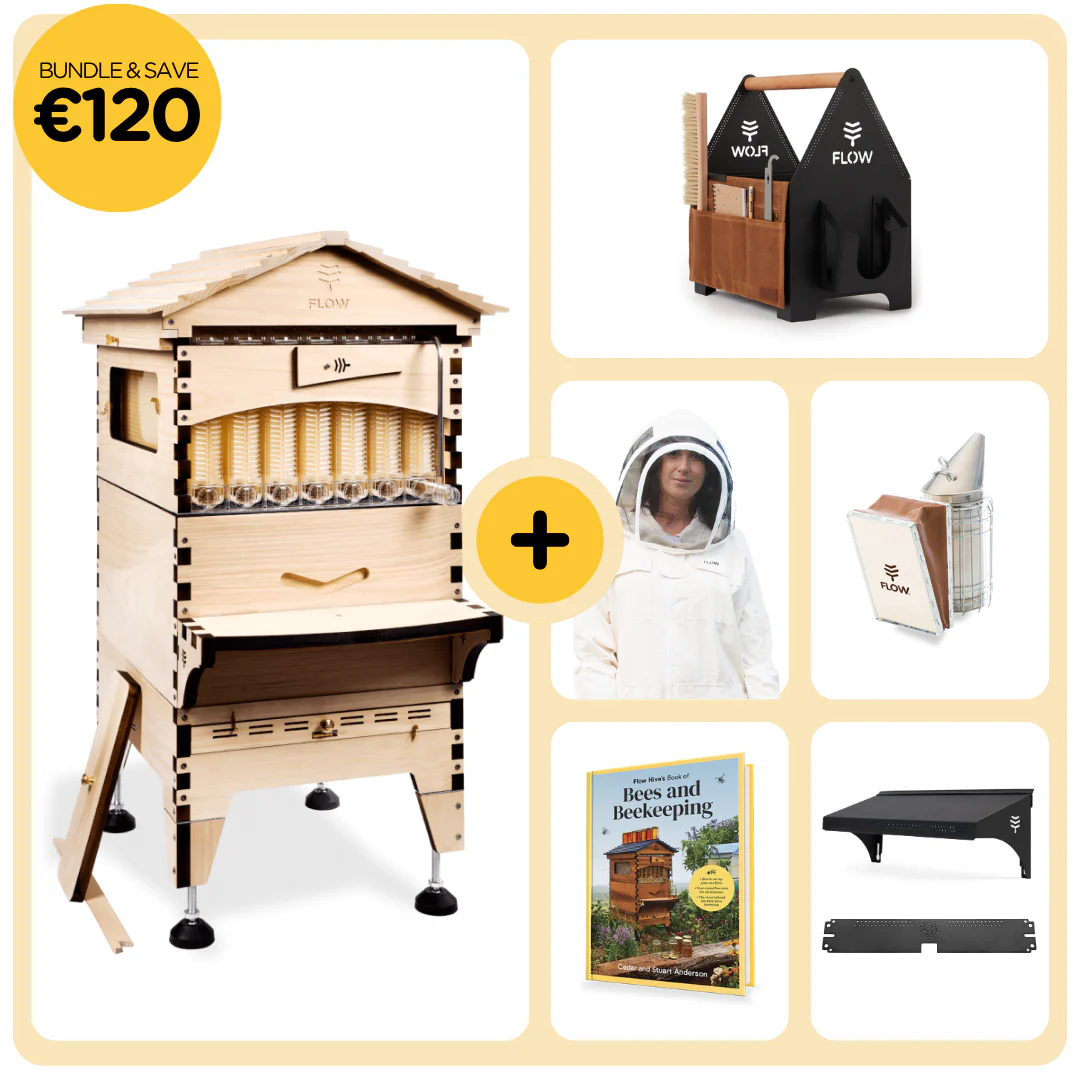 Sale and Specials (Starter Bundle)